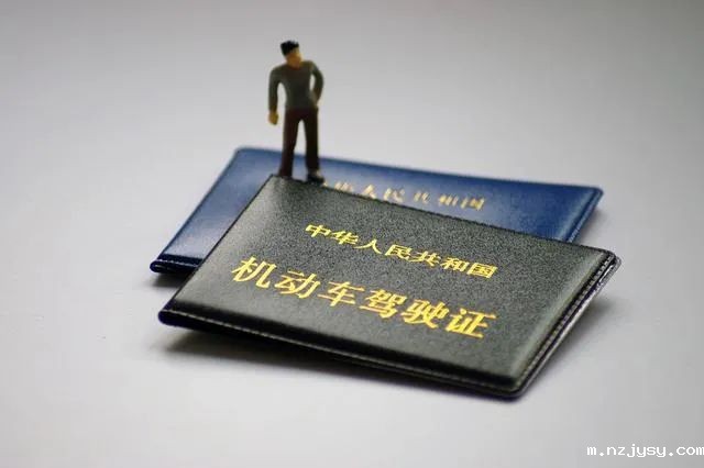 1733706684002048491.jpg 2.jpg