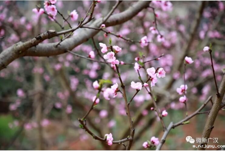 QQ截图20190708111138.jpg QQ截图20190708111138.jpg