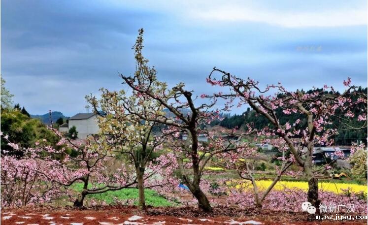 QQ截图20190708111202.jpg QQ截图20190708111202.jpg