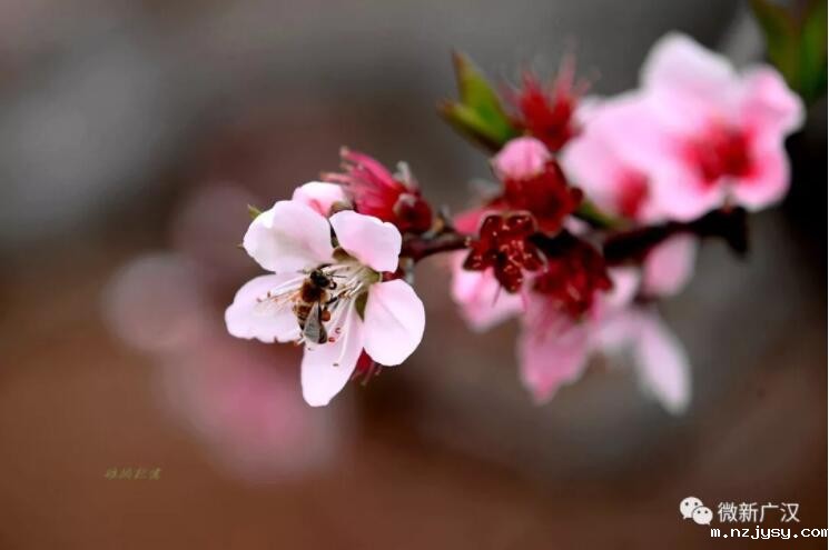 QQ截图20190708111223.jpg QQ截图20190708111223.jpg