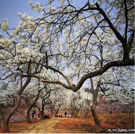 QQ截图20190708111535.jpg QQ截图20190708111535.jpg