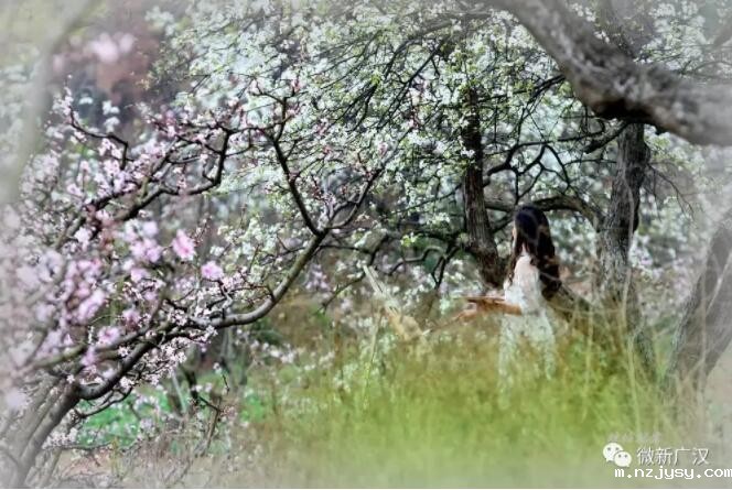 QQ截图20190708111601.jpg QQ截图20190708111601.jpg