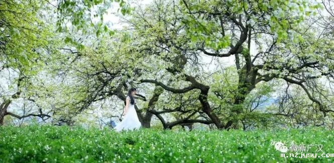 QQ截图20190708111636.jpg QQ截图20190708111636.jpg