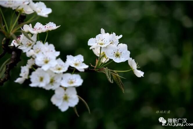 QQ截图20190708111737.jpg QQ截图20190708111737.jpg