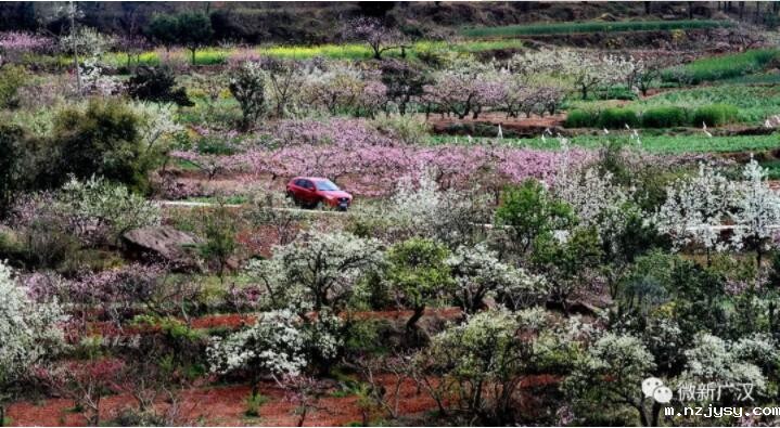 QQ截图20190708111754.jpg QQ截图20190708111754.jpg