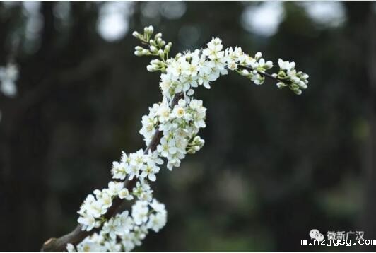 QQ截图20190708111858.jpg QQ截图20190708111858.jpg